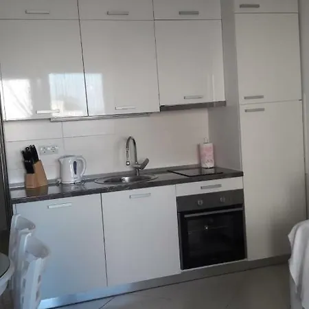 Zdrijac アパート *